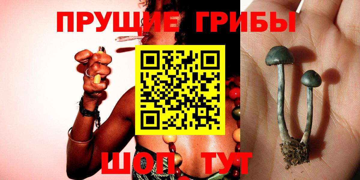 Свободный  Псилоцибиновые грибы MAGIC MUSHROOMS  Вход с VPN 